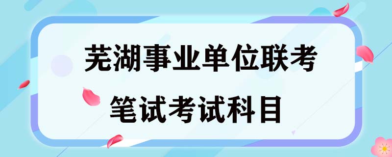 安徽芜湖市数据资源管理局劳务派遣人员招聘5人公告