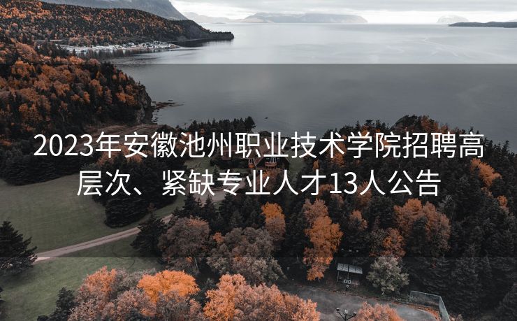 2023年安徽池州职业技术学院招聘高层次、紧缺专业人才13人公告