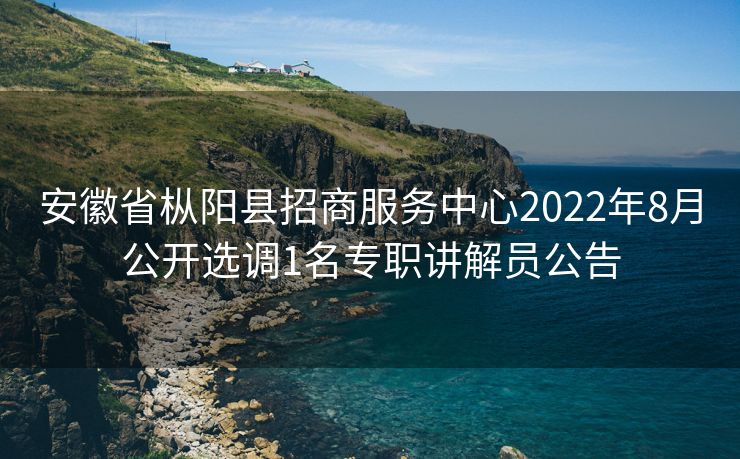 安徽省枞阳县招商服务中心2022年8月公开选调1名专职讲解员公告