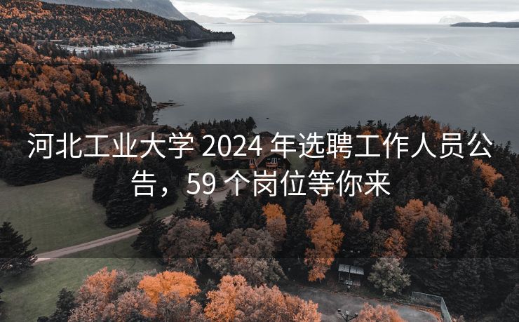 河北工业大学 2024 年选聘工作人员公告，59 个岗位等你来