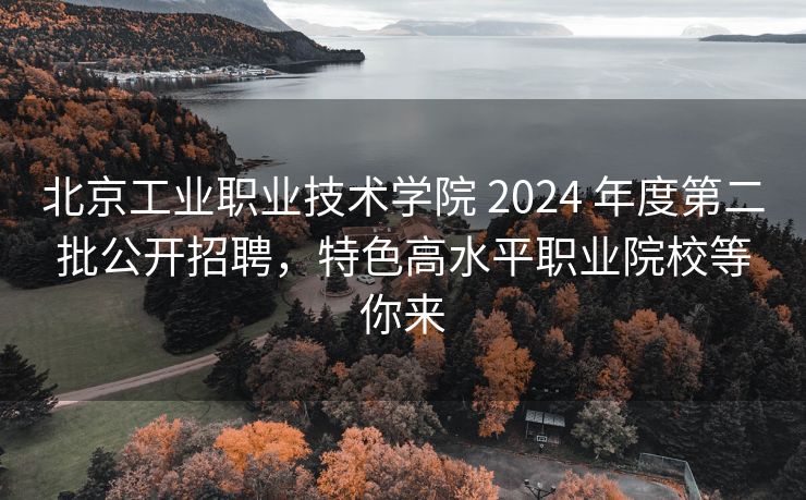 北京工业职业技术学院 2024 年度第二批公开招聘，特色高水平职业院校等你来