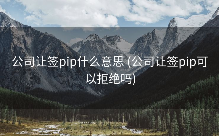 公司让签pip什么意思 (公司让签pip可以拒绝吗)