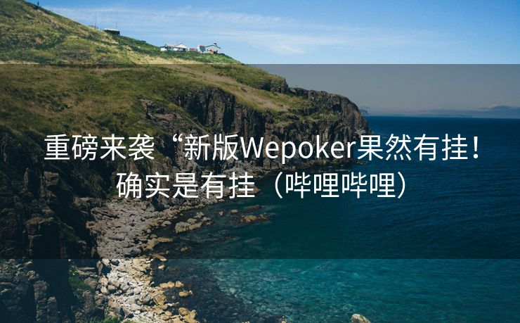 重磅来袭“新版Wepoker果然有挂！确实是有挂（哔哩哔哩）