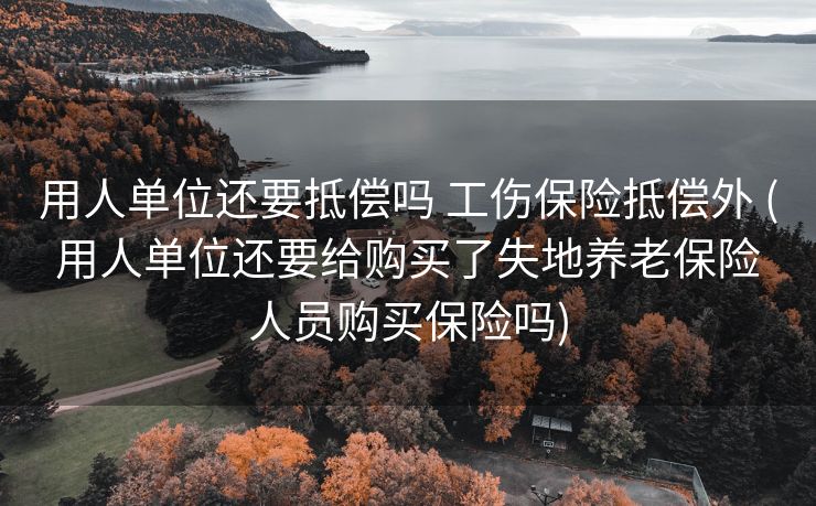 用人单位还要抵偿吗 工伤保险抵偿外 (用人单位还要给购买了失地养老保险人员购买保险吗)