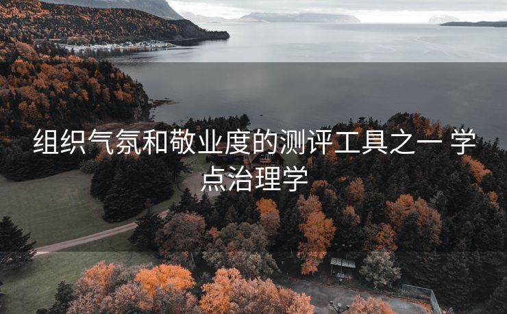 组织气氛和敬业度的测评工具之一 学点治理学