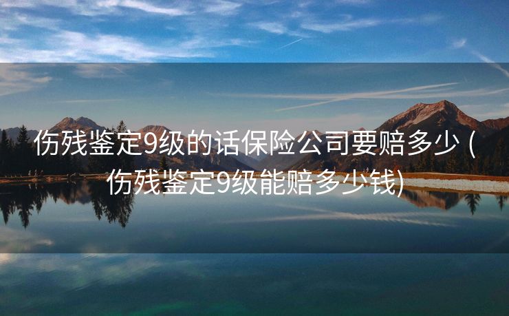 伤残鉴定9级的话保险公司要赔多少 (伤残鉴定9级能赔多少钱)