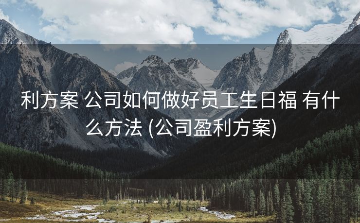 利方案 公司如何做好员工生日福 有什么方法 (公司盈利方案)