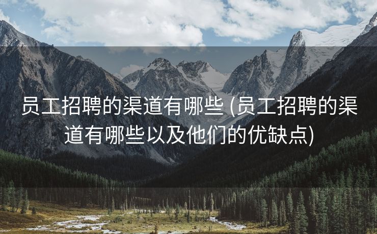 员工招聘的渠道有哪些 (员工招聘的渠道有哪些以及他们的优缺点)