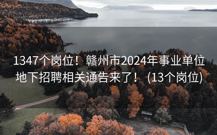 1347个岗位！赣州市2024年事业单位地下招聘相关通告来了！ (13个岗位)