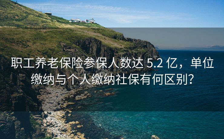 职工养老保险参保人数达 5.2 亿，单位缴纳与个人缴纳社保有何区别？