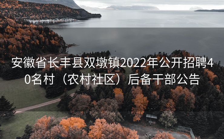 安徽省长丰县双墩镇2022年公开招聘40名村（农村社区）后备干部公告