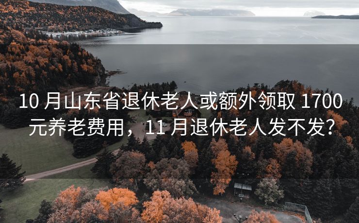 10 月山东省退休老人或额外领取 1700 元养老费用，11 月退休老人发不发？