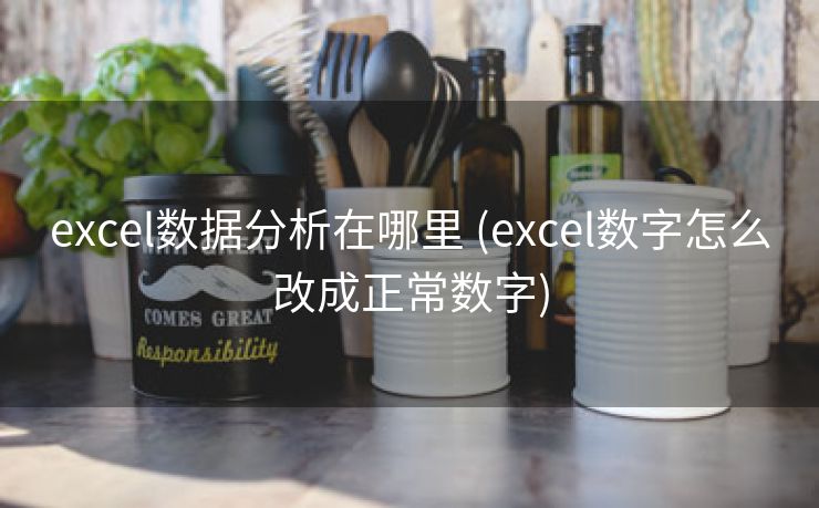 excel数据分析在哪里 (excel数字怎么改成正常数字)