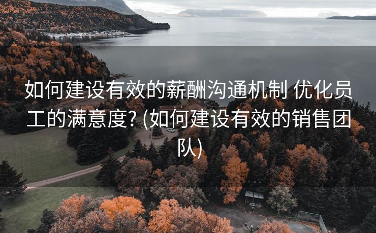 如何建设有效的薪酬沟通机制 优化员工的满意度? (如何建设有效的销售团队)