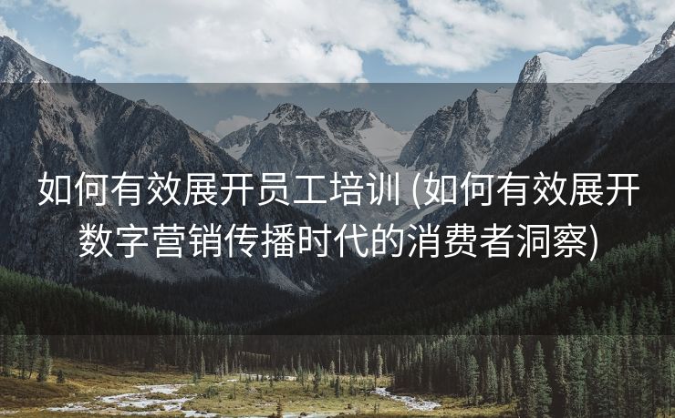 如何有效展开员工培训 (如何有效展开数字营销传播时代的消费者洞察)