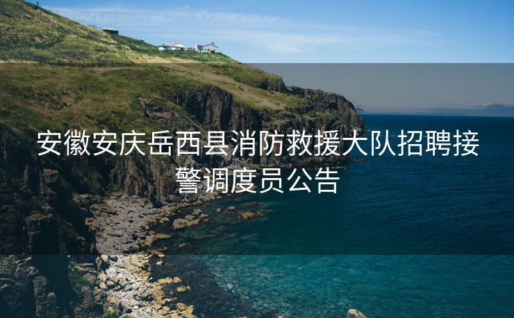 安徽安庆岳西县消防救援大队招聘接警调度员公告