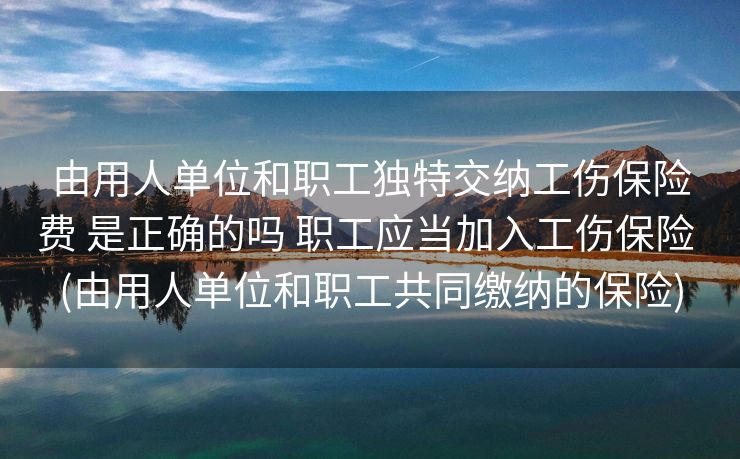 由用人单位和职工独特交纳工伤保险费 是正确的吗 职工应当加入工伤保险 (由用人单位和职工共同缴纳的保险)