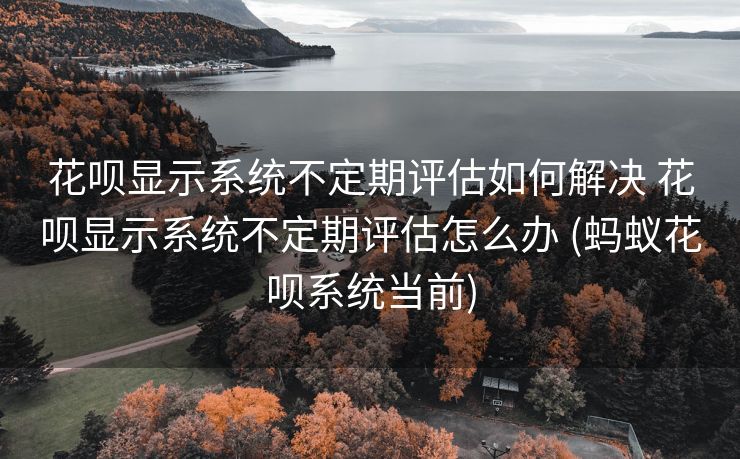 花呗显示系统不定期评估如何解决 花呗显示系统不定期评估怎么办 (蚂蚁花呗系统当前)