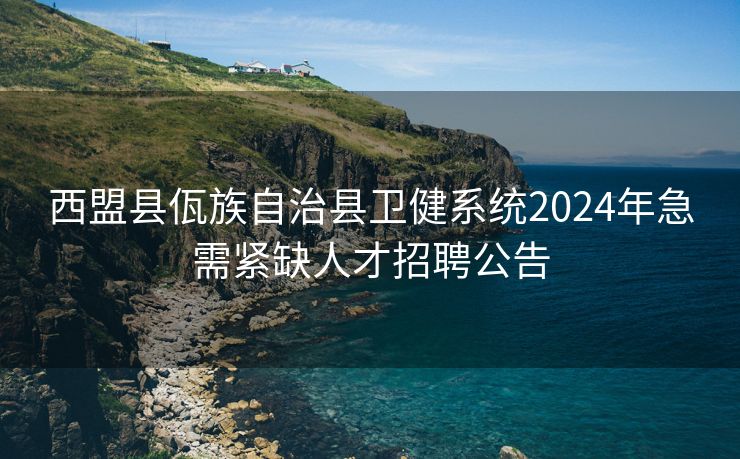 西盟县佤族自治县卫健系统2024年急需紧缺人才招聘公告