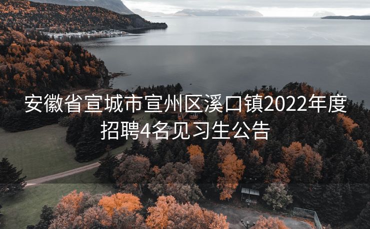 安徽省宣城市宣州区溪口镇2022年度招聘4名见习生公告