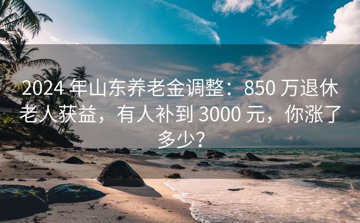 2024 年山东养老金调整：850 万退休老人获益，有人补到 3000 元，你涨了多少？