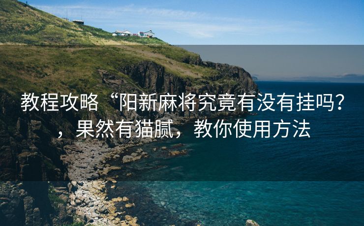 教程攻略“阳新麻将究竟有没有挂吗？，果然有猫腻，教你使用方法