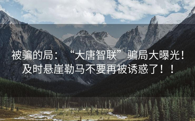 被骗的局：“大唐智联”骗局大曝光！及时悬崖勒马不要再被诱惑了！！