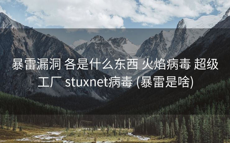 暴雷漏洞 各是什么东西 火焰病毒 超级工厂 stuxnet病毒 (暴雷是啥)