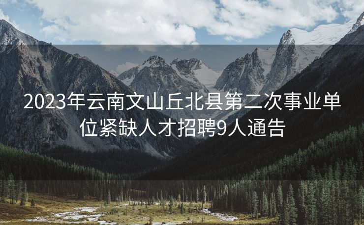 2023年云南文山丘北县第二次事业单位紧缺人才招聘9人通告