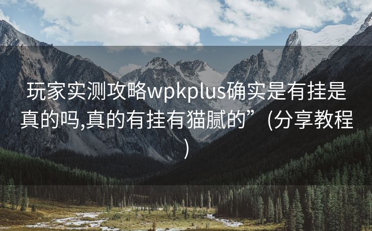 玩家实测攻略wpkplus确实是有挂是真的吗,真的有挂有猫腻的”(分享教程)