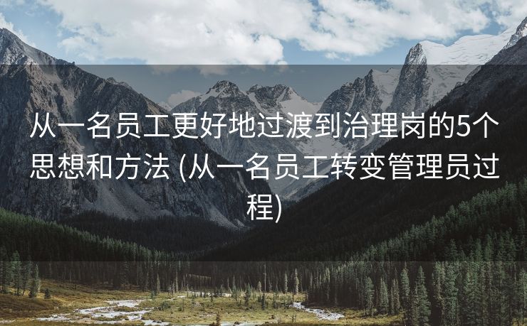 从一名员工更好地过渡到治理岗的5个思想和方法 (从一名员工转变管理员过程)