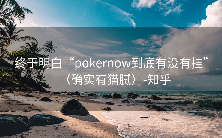 终于明白“pokernow到底有没有挂”（确实有猫腻）-知乎