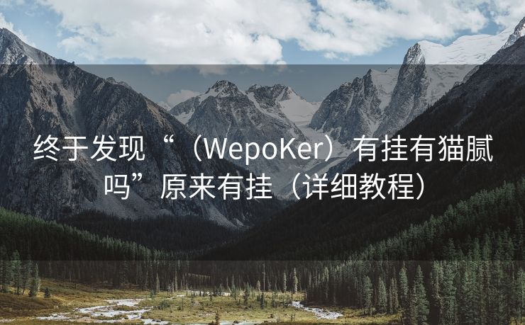 终于发现“（WepoKer）有挂有猫腻吗”原来有挂（详细教程）