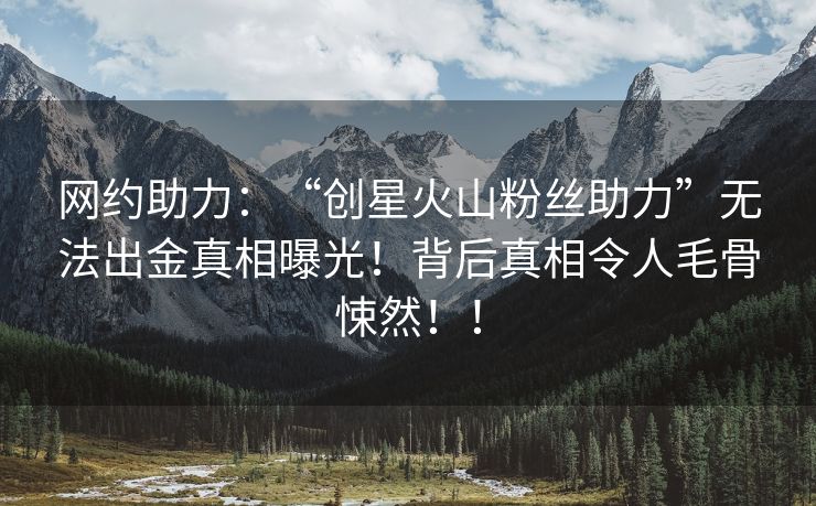 网约助力：“创星火山粉丝助力”无法出金真相曝光！背后真相令人毛骨悚然！！