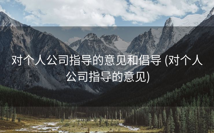 对个人公司指导的意见和倡导 (对个人公司指导的意见)