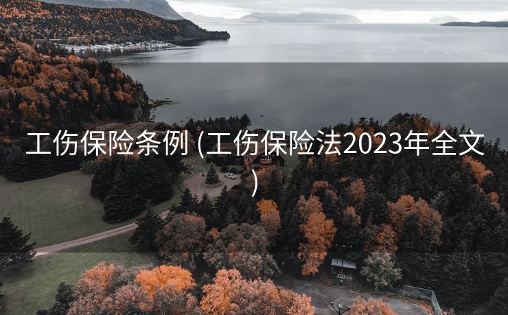 工伤保险条例 (工伤保险法2023年全文)