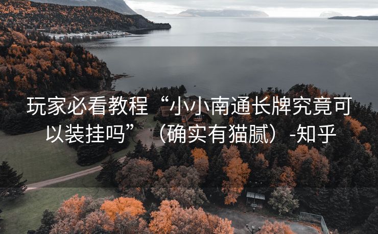 玩家必看教程“小小南通长牌究竟可以装挂吗”（确实有猫腻）-知乎