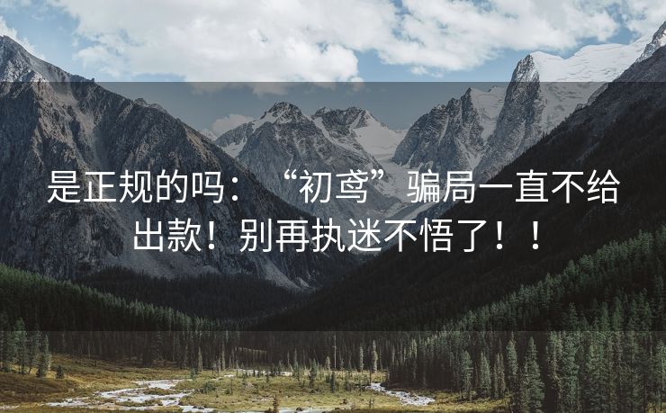 是正规的吗：“初鸢”骗局一直不给出款！别再执迷不悟了！！