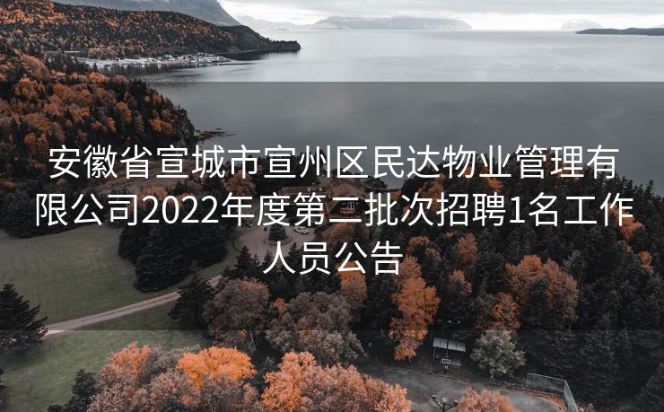 安徽省宣城市宣州区民达物业管理有限公司2022年度第二批次招聘1名工作人员公告