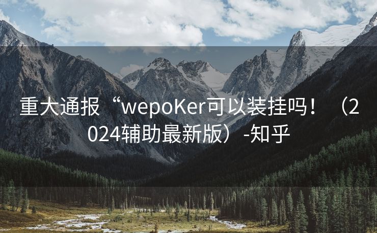 重大通报“wepoKer可以装挂吗！（2024辅助最新版）-知乎