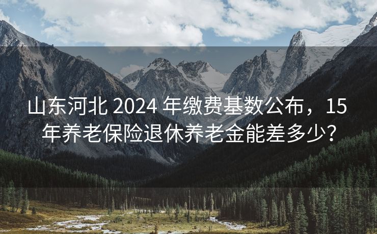 山东河北 2024 年缴费基数公布，15 年养老保险退休养老金能差多少？