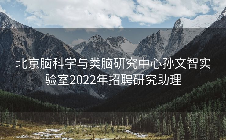 北京脑科学与类脑研究中心孙文智实验室2022年招聘研究助理