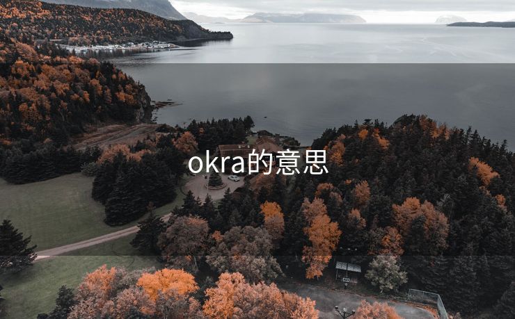 okra的意思