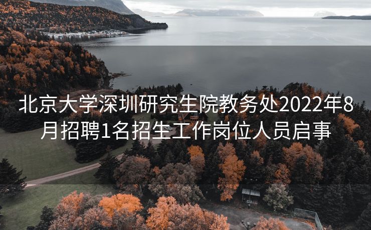 北京大学深圳研究生院教务处2022年8月招聘1名招生工作岗位人员启事