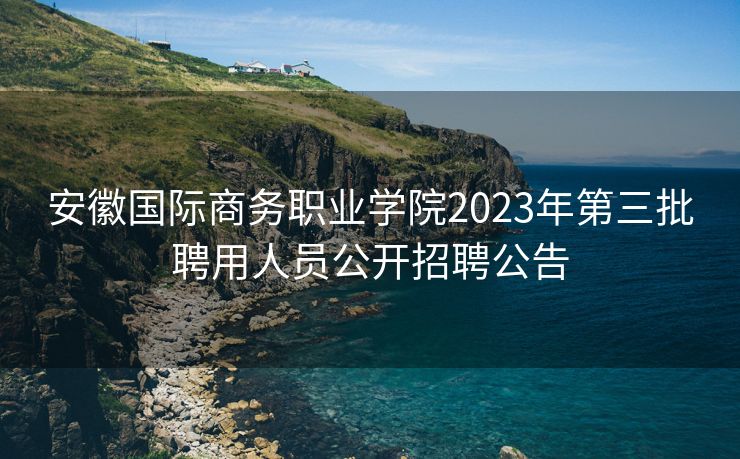 安徽国际商务职业学院2023年第三批聘用人员公开招聘公告