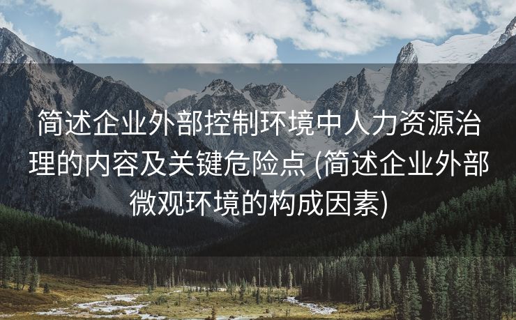 简述企业外部控制环境中人力资源治理的内容及关键危险点 (简述企业外部微观环境的构成因素)