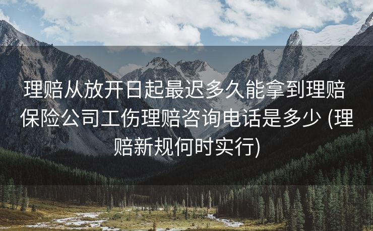 理赔从放开日起最迟多久能拿到理赔 保险公司工伤理赔咨询电话是多少 (理赔新规何时实行)