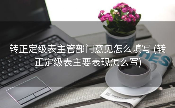 转正定级表主管部门意见怎么填写 (转正定级表主要表现怎么写)