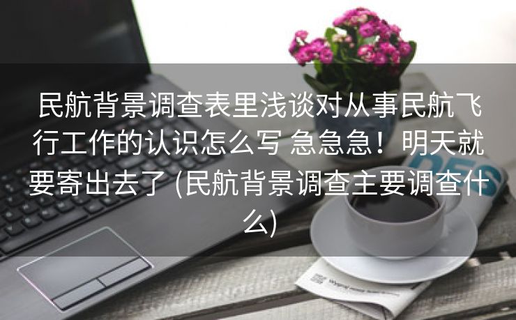 民航背景调查表里浅谈对从事民航飞行工作的认识怎么写 急急急！明天就要寄出去了 (民航背景调查主要调查什么)