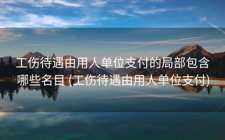 工伤待遇由用人单位支付的局部包含哪些名目 (工伤待遇由用人单位支付)